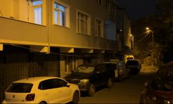 Sarıyer'de mal paylaşımı kavgasında babasını sırtından bıçakladı: Balık poşetinden akan suya sinirlendi saldırdı