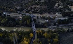 Tunceli merkezli 3 ilde operasyon; 23 kilo esrar ele geçirildi