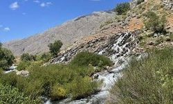 Tunceli'de doğayı korumak için 83 maddelik karar alındı