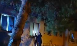 Apartman dairesinde çıkan yangında 1 kişi yaralandı