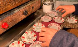 'Boyalı çay'a kapsamlı denetim ve inceleme