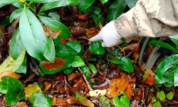 Dere yatağında cansın bedeni bulunan anne ve oğlunun hipotermi sonucu öldüğü belirlendi