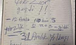 Emekli öğretmeni 117 bin dolar dolandırdı, suç ortağı payını ödemeyince ihbar etti