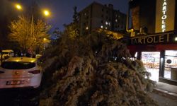 Fırtına nedeniyle Beylikdüzü'nde 15 katlı binanın dış cephesi uçtu; Ataşehir'de ağaç devrildi