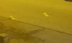 Kağıthane'de caddede kalaşnikoflu saldırı kamerada; 'İşi dayı lakaplı kişiden aldım'