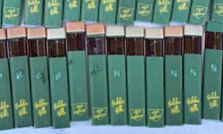 Pazarkule'de likit esrar dolu kaçak elektronik sigaralar ele geçirildi; 1 gözaltı