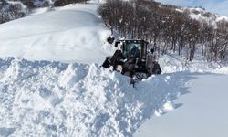 Tunceli'de kar kalınlığı 2 metreyi aştı, 27 köy yolu kapalı