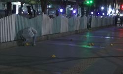 Batman'da uzun namlulu silahla çevreye ateş ederek 2 kişiyi yaralayan şüpheli tutuklandı