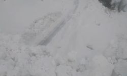 Beytüşşebap'ta çığ nedeniyle 3 köy yolu ulaşıma kapandı