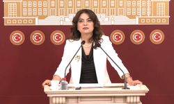 DEM Parti'li Koçyiğit: Türkiye'nin geleceği için rapor önemli bir eşik olacak