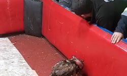 Temizlik işçisi kıyafeti giyen polisten horoz dövüşüne suçüstü; 661 bin lira ceza