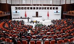 TBMM Genel Kurulu'nda, 'Milli Parklar Kanunu Teklifi'nin ilk 5 maddesi kabul edildi