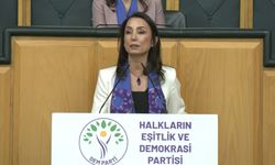 DEM Parti'li Hatimoğulları: AİHM ve AYM kararları uygulanmalı