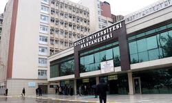 Türkiye'de yemeğiyle ünlü kentler, diyabet ve obezitede ilk sıralarda