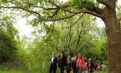 Üsküdar Belediyesi: Validebağ Korusu'nda yaptığımız çalışmalar Avrupa'nın en iyi uygulamaları arasında