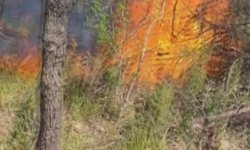 Çatalca'da ormanlık alanda çıkan yangın söndürüldü