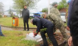 Bingöl'de 33 yıl önce şehit edilen 33 asker törenle anıldı