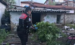 Edirne'de polisin 'dur' ihtarından kaçan şüpheli uyuşturucu ile yakalandı