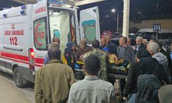 Küçükbaş hayvan yüklü kamyonet devrildi; 1'i ağır, 2 yaralı