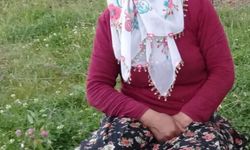 Muş'ta dereye düşen Gülsima aranıyor