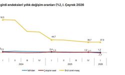 TÜİK: İstihdam endeksi yıllık yüzde 1,2 arttı