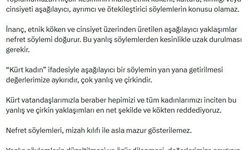 AK Parti'li Çelik: Kadınlara dönük her türlü aşağılayıcı söylemi kınıyoruz