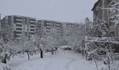 Bitlis'te 84 köy yolu ulaşıma kapandı