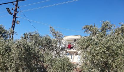 Cezaevinden yeni çıkan madde bağımlısı genç, babaanesi ve dedesini katletti