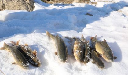 Hakkari Yüksekova'da buz tutan çayda balık avı
