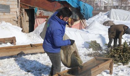 Bitlis'te besicilerin zorlu kış mesaisi