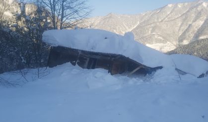 Artvin’in Borçka ilçesinde çığ düştü