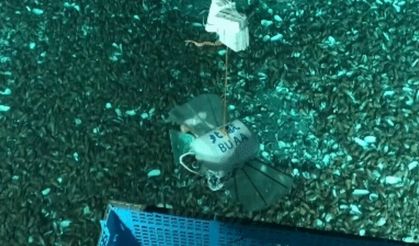 Çinli bilim insanları, Mariana Çukuru'nda basınç altında çalışan küçük bir robot geliştirdi