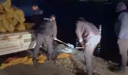 Samsun’da kaçak avlanan tonlarca midye ele geçirildi