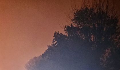 Şili'de orman yangını: 2 bin kişi tahliye edildi