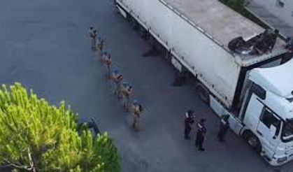 Sakarya’nın  Erenler İlçesinde TIR'da 46 kaçak göçmen yakalandı
