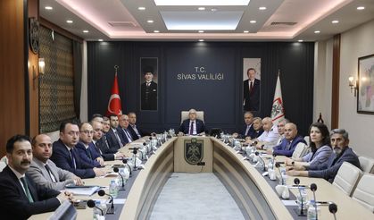 Sivas Valiliği'nden 'kene' açıklaması: Vaka sayımız 39