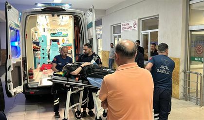 Eski Bitlis Valisi Karaömeroğlu ve ailesi kazada yaralandı