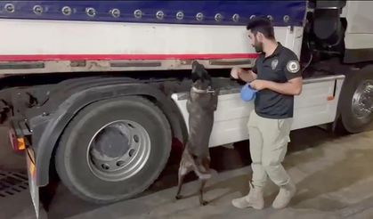 Yabancı plakalı TIR'dan 344 kilo uyuşturucu çıktı