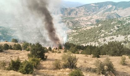 Çorum'da orman yangını kontrol altına alındı
