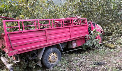 Giresun'da fındık işçilerini taşıyan kamyonet şarampole yuvarlandı: 4 ölü 1 yaralı
