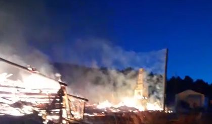 İki yayla evi yangında küle döndü