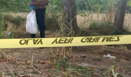 Samsun'da kayboldu, Düzce'de kemikleri bulundu