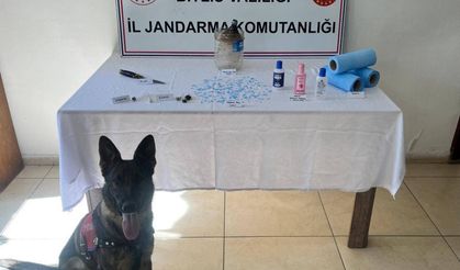 250 peçeteye emdirilmiş piyasa değeri 300 bin TL olan uyuşturucu ele geçirildi