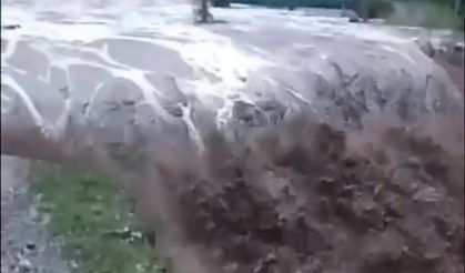 Artvin sağanak etkili oldu; dere taştı, köprü yıkıldı