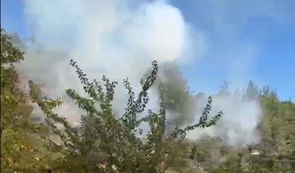 Balıkesir'de orman yangını 2 saatte kontrol altında