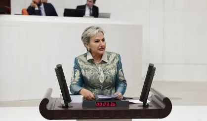 Milletvekili Özdemir öğrencilerin aç okula gitmesini TBMM'ye taşıdı