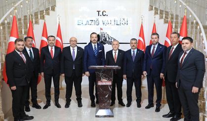 AK Parti'li Zorlu: Ülkelerini, seçilmiş Cumhurbaşkanını şikayet etme politikası izliyorlar