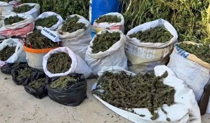 Hatay'da 89 kilo 200 gram esrar ve bin 876 kök kenevir ele geçirildi; 3 tutuklama
