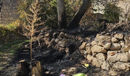 Bahçesindeki otları yakarken alevlerin arasında kalıp öldü