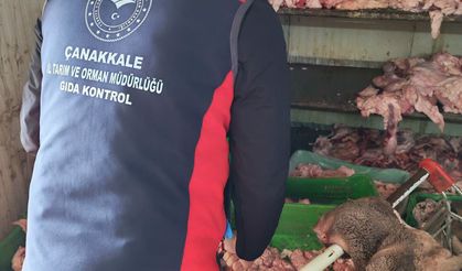 Çanakkale'de izinsiz ve uygunsuz koşullarda et işleme faaliyeti gösteren işletme mühürlendi